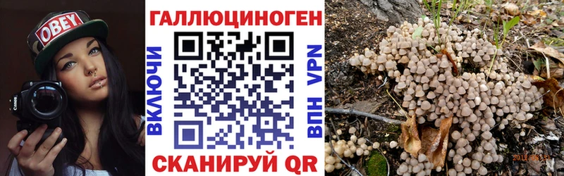 Псилоцибиновые грибы Cubensis  Тара 